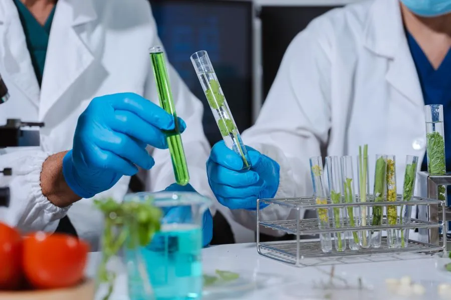 Two scientists holding vials of green liquid.